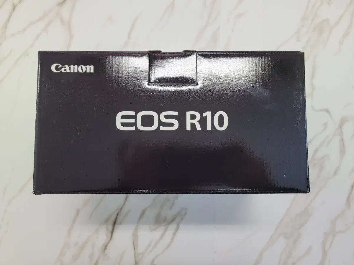 캐논 EOS R10